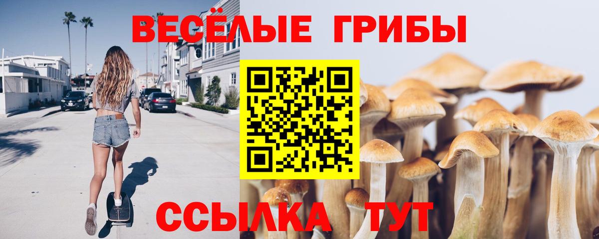 Галлюциногенные грибы Psilocybe  Вход с VPN  купить   Узловая 